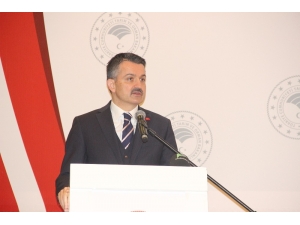 “İthalatı Sonlandırmakta Kararlıyız”