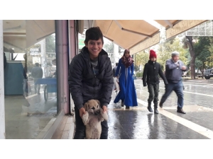 Kızıltepeli Çocuk Yiyeceğini Sokak Köpeği İle Paylaştı