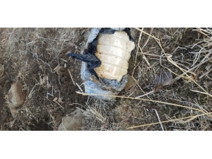 Yüksekova’da 2 Adet Eyp Ele Geçirildi