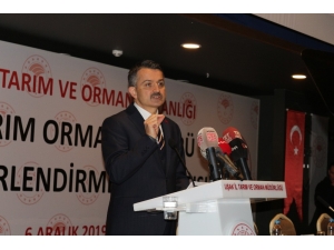 Bakan Pakdemirli: “2020 Yılı Bütçesinin 54,5’i Tarımsal Desteklere Ayrıldı”