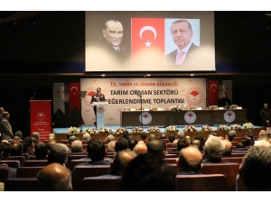 Uşak’a ‘Tarıma Dayalı Jeotermal Enerji İle Isıtmalı Sera Osb’ Müjdesi