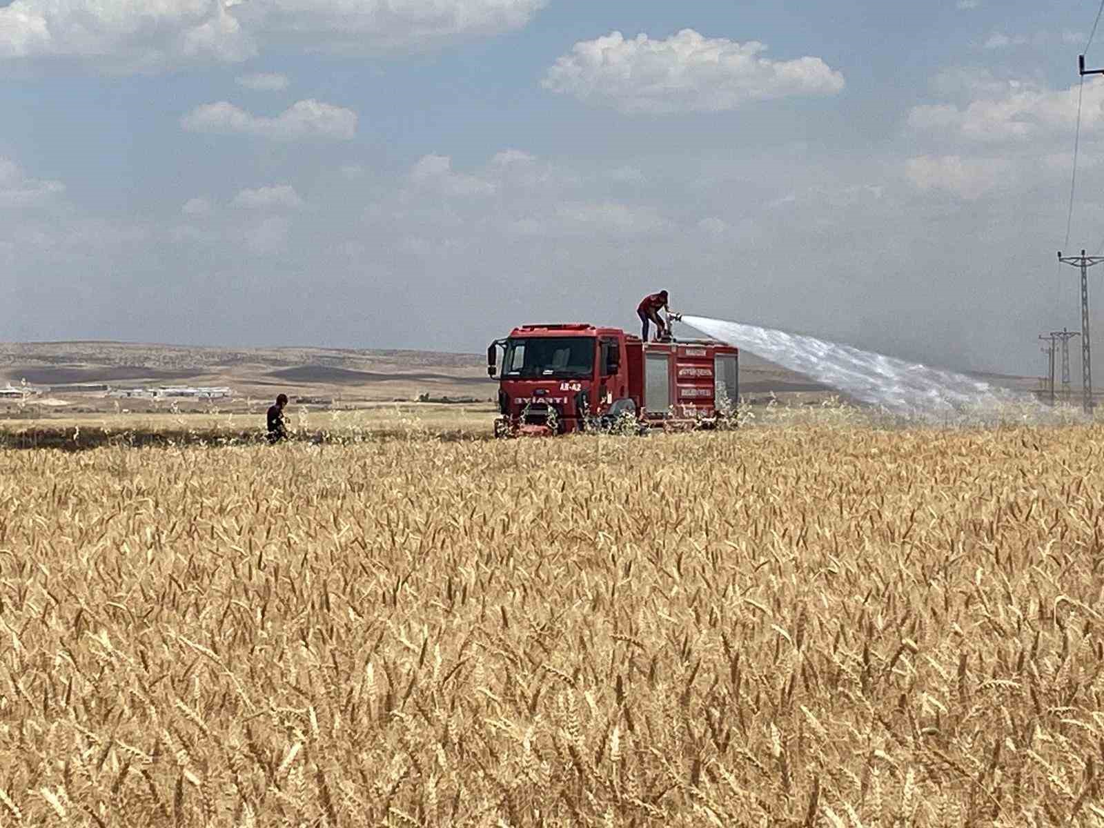 mardin-de-yaklasik-300-donum-ekili-alan-alevlere-teslim-oldu
