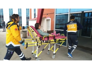 Küçük Kızı Köpek Isırdı