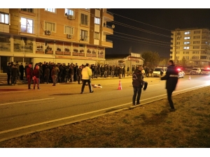 Yolun Karşısına Geçmek İstedi, Hayatından Oldu