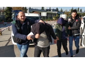 Bonzai İle Yakalanan 5 Kişi Gözaltına Alındı