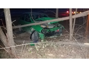 Kontrolden Çıkan Otomobil Ağaca Çarptı: 1 Yaralı