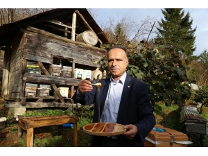 Kestane Balı Tam Bir Şifa Deposu