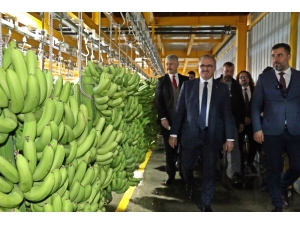 Antalya Valisi Karaloğlu’ndan Turizmcilere ’Kimse Tesisine İthal Muz Koymasın’ Çağrısı