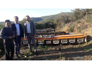 İşkur’un Desteğiyle Kovanlarını Dolduruyor