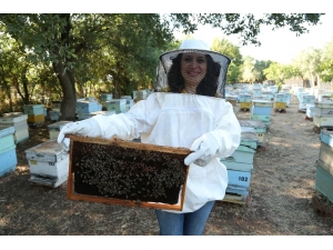 Çocukların Gelişiminde Arı Sütünün Etkisi