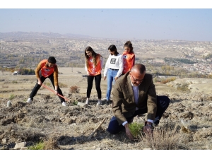 Greenmetric’te Kapadokya Üniversitesi Büyük Başarı Elde Etti