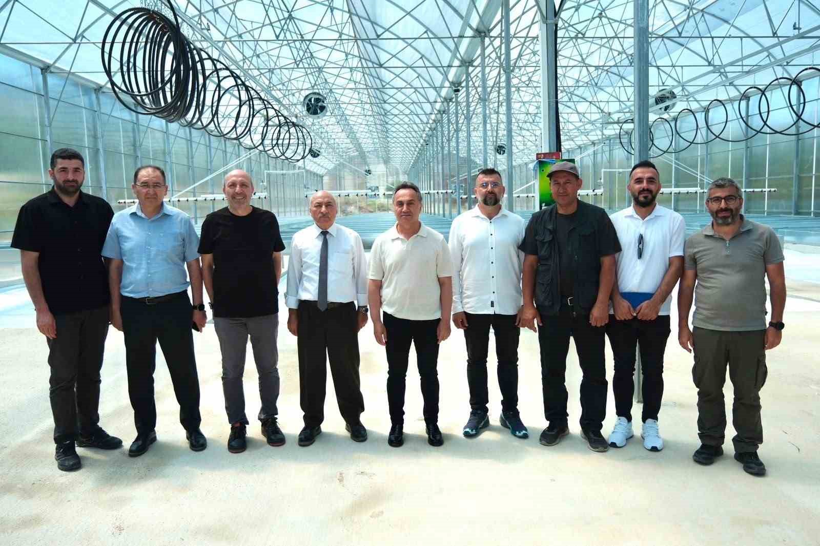 togu-tohumluk-patates-uretimine-basliyor