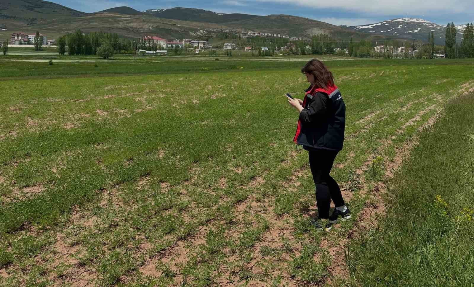 aydintepe-de-urun-tespit-calismalari-suruyor