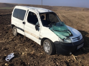 Kamyonet Yoldan Çıktı: 3 Yaralı