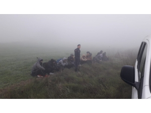 Tekirdağ’da 16 Kaçak Göçmen Yakalandı