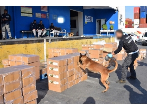 Konserve Kutularında Uyuşturucu Kaçakçılığı