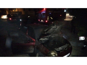 Canlarını Son Anda Kurtardılar