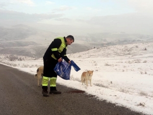 Sokak Hayvanlarına Mama Desteği