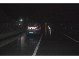 Malkara’da Yaya Halindeki 5 Kaçak Jandarmaya Yakalandı