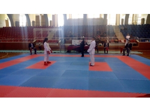 Aydın Analig Karate İl Karması Seçmeleri Yapıldı