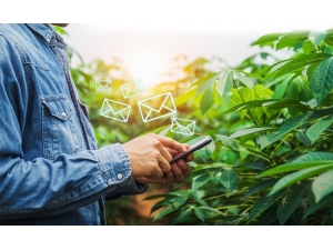 Tarsim Sms Bilgi Hattı Numarası Değişti