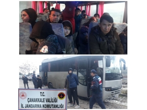 Çanakkale 50 Mülteci Yakalandı