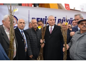 Başkan Zolan: “Denizli’nin Türkiye’de En Çok Ceviz Üreten İl Sıralamasında Olmasını İstiyoruz”