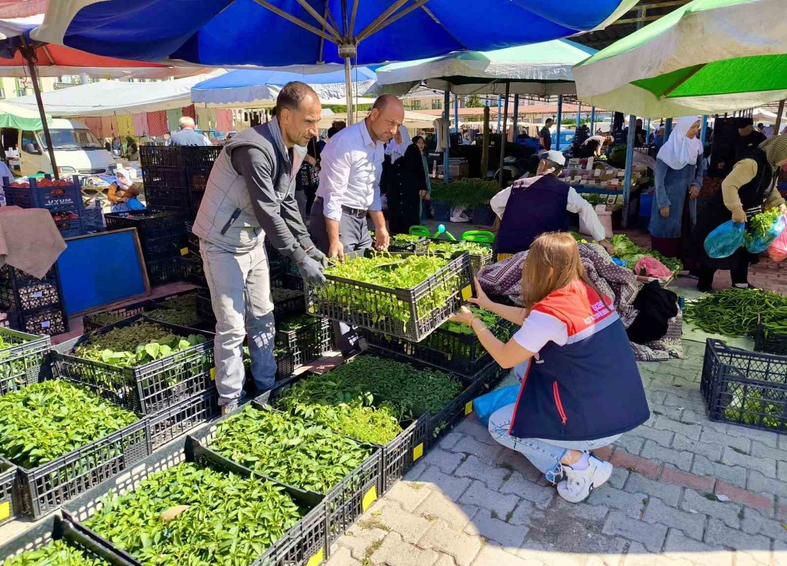 pazarlarda-satilan-tohum-ve-fideler-kontrol-edildi