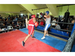 Adana’da Okullararası Genç Erkekler B Boks İl Birinciliği