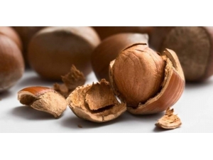 Ordu’da Fındık Fabrikası İcralık Oldu