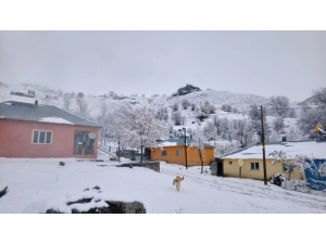 Tunceli’de Kar 71 Köy Yolunu Ulaşıma Kapattı