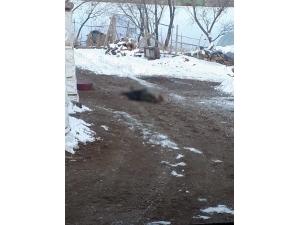 Ağrı’da Operasyonda Ölü Ele Geçirilen Teröristlerin Görüntüleri Ortaya Çıktı