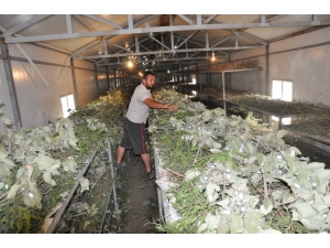 Sason’da Gap İdaresi’ne Sunulan 3 Proje Kabul Edildi