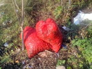 Kaçak Midye Avcılarına Operasyon