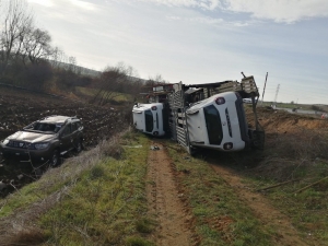 Tarlada Şok Görüntü