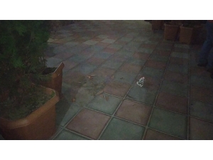 Bağcılar’da Cam Silerken 11. Kattan Düşen Kadın Hayatını Kaybetti