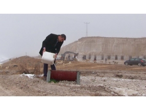 Sokak Köpekleri Üşümesin Diye Dağı Oydular