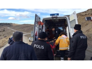 Avcı Dağda Hayatını Kaybetti, Köpeği Başından Ayrılmadı