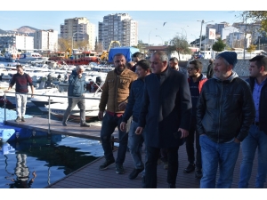 Gemlik’teki Balık Popülasyonu Tehlikede