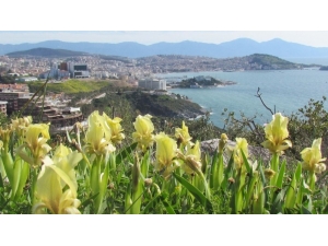 Kuşadası’nda Ekoturizm Toplantısı Yapıldı