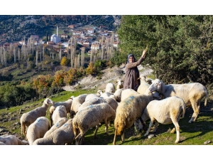 Orman Köylüsüne Büyük Destek