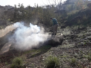Hatay’da Haşereyle Mücadele Devam Ediyor