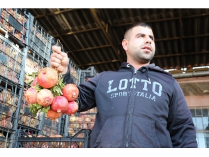 Siirt Zivzik Narı Hem Üreticinin Hem De Tüketicinin Yüzünü Güldürdü