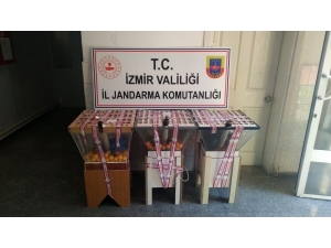 İzmir’de Çay Ocaklarına Kumar Baskını: 52 Kişi Yakalandı