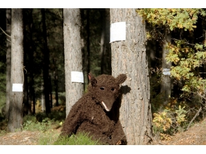 Ağaç Kesimine Mahalleliden Alkışlı Tepki