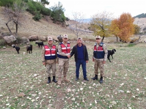 Dolandırıcılar Yakalandı