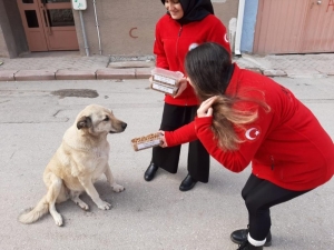 Akut Öğrenci Topluluğundan Örnek Çalışma