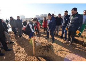 İzmit’te 750 Adet Fidan Toprakla Buluştu