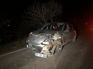 Domuz Sürüsüne Çarpan Araç Hurdaya Döndü