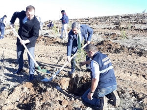 Altıntaş’ta Fidan Dikme Etkinliği